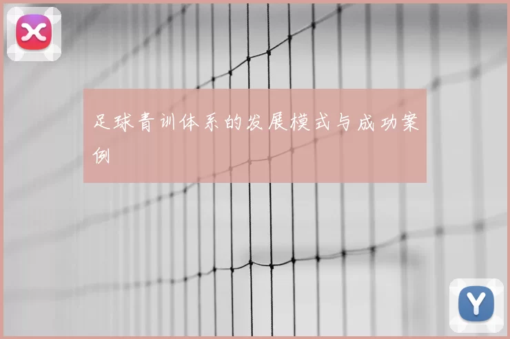 足球青训体系的发展模式与成功案例