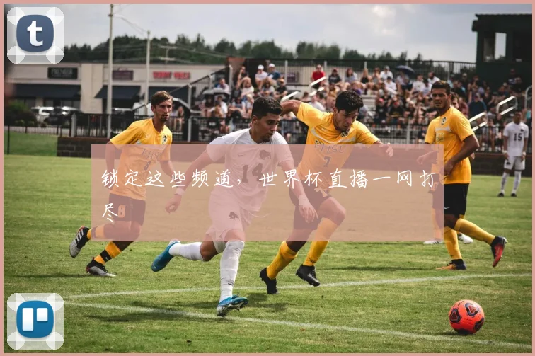 锁定这些频道，世界杯直播一网打尽