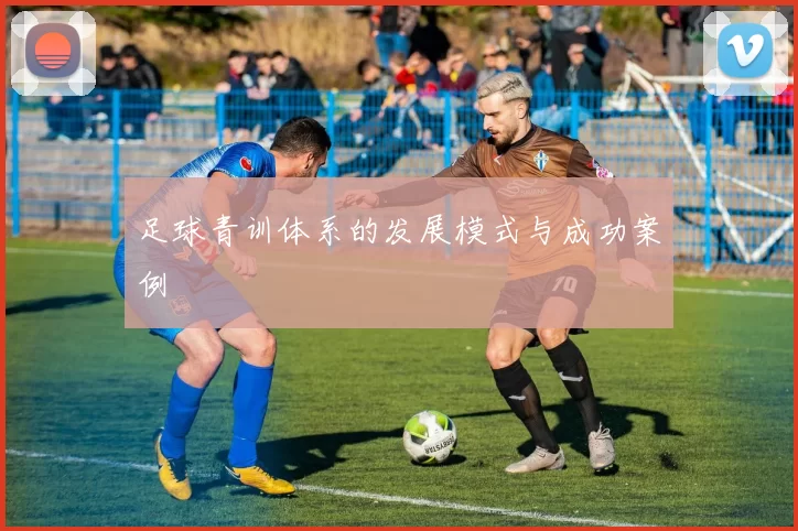 足球青训体系的发展模式与成功案例