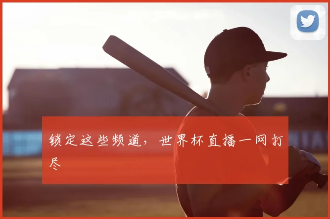 锁定这些频道，世界杯直播一网打尽