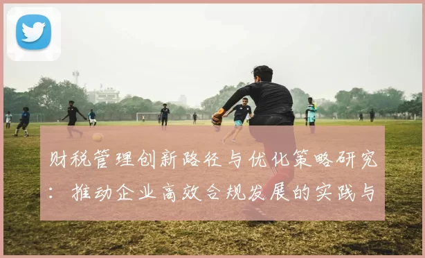 财税管理创新路径与优化策略研究：推动企业高效合规发展的实践与思考