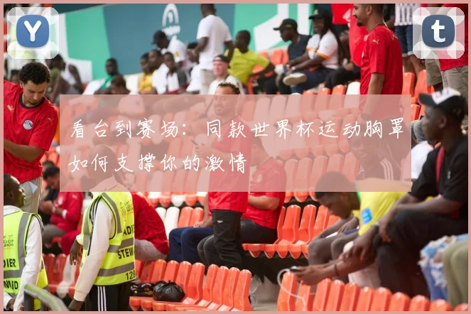 看台到赛场：同款世界杯运动胸罩如何支撑你的激情