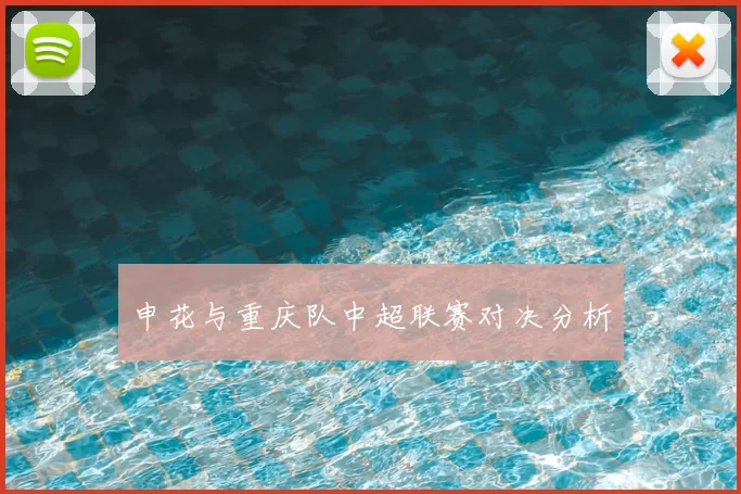 申花与重庆队中超联赛对决分析