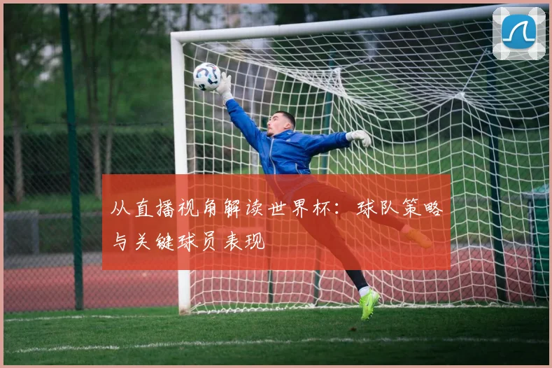 从直播视角解读世界杯：球队策略与关键球员表现