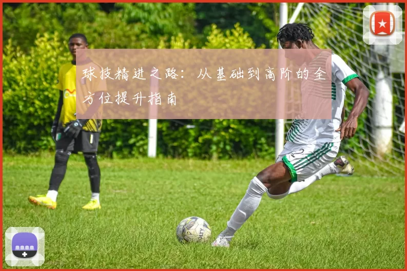 球技精进之路：从基础到高阶的全方位提升指南