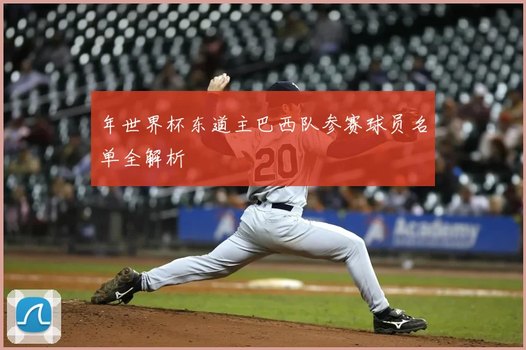 年世界杯东道主巴西队参赛球员名单全解析