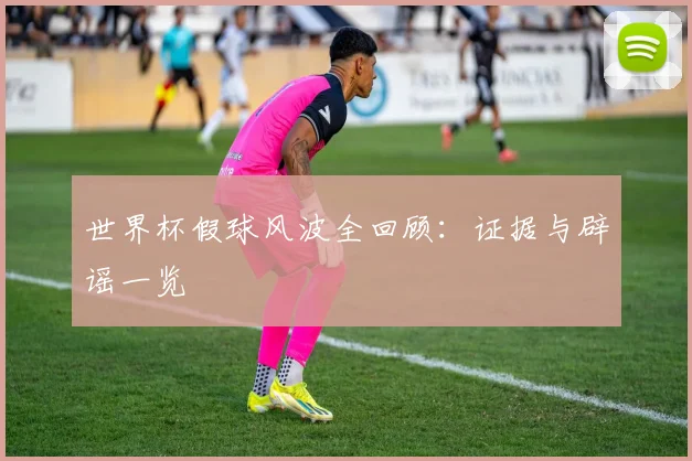 世界杯假球风波全回顾：证据与辟谣一览