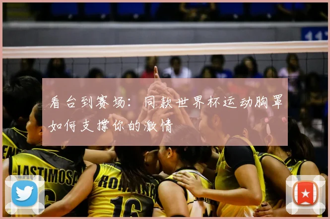 看台到赛场：同款世界杯运动胸罩如何支撑你的激情
