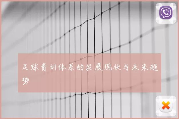 足球青训体系的发展现状与未来趋势